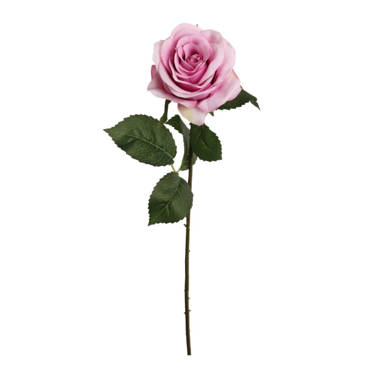 20&#x22; Open Rose Stem - 12 PACK