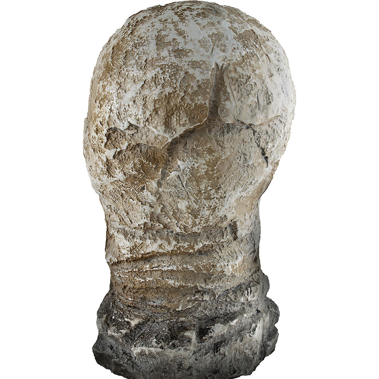 12 Inch Flaming Rotted Skull Animated Halloween Prop Green Rot Drip Amber Flame Effects