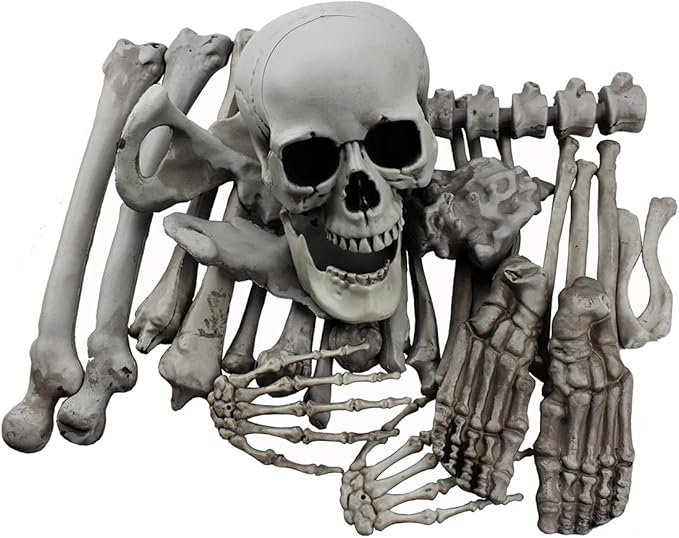 Pieces Skeleton Bones and Skull for Halloween Decor or Spooky Graveyard Ground Decoration (28PCS)