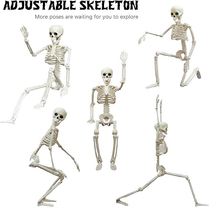 Halloween Skeleton Decorations, 2 Pack 26 Inch Full Body Skeleton with Movable Posable Joints, Human Bones Decorations for Graveyard Indoor Outdoor Decor