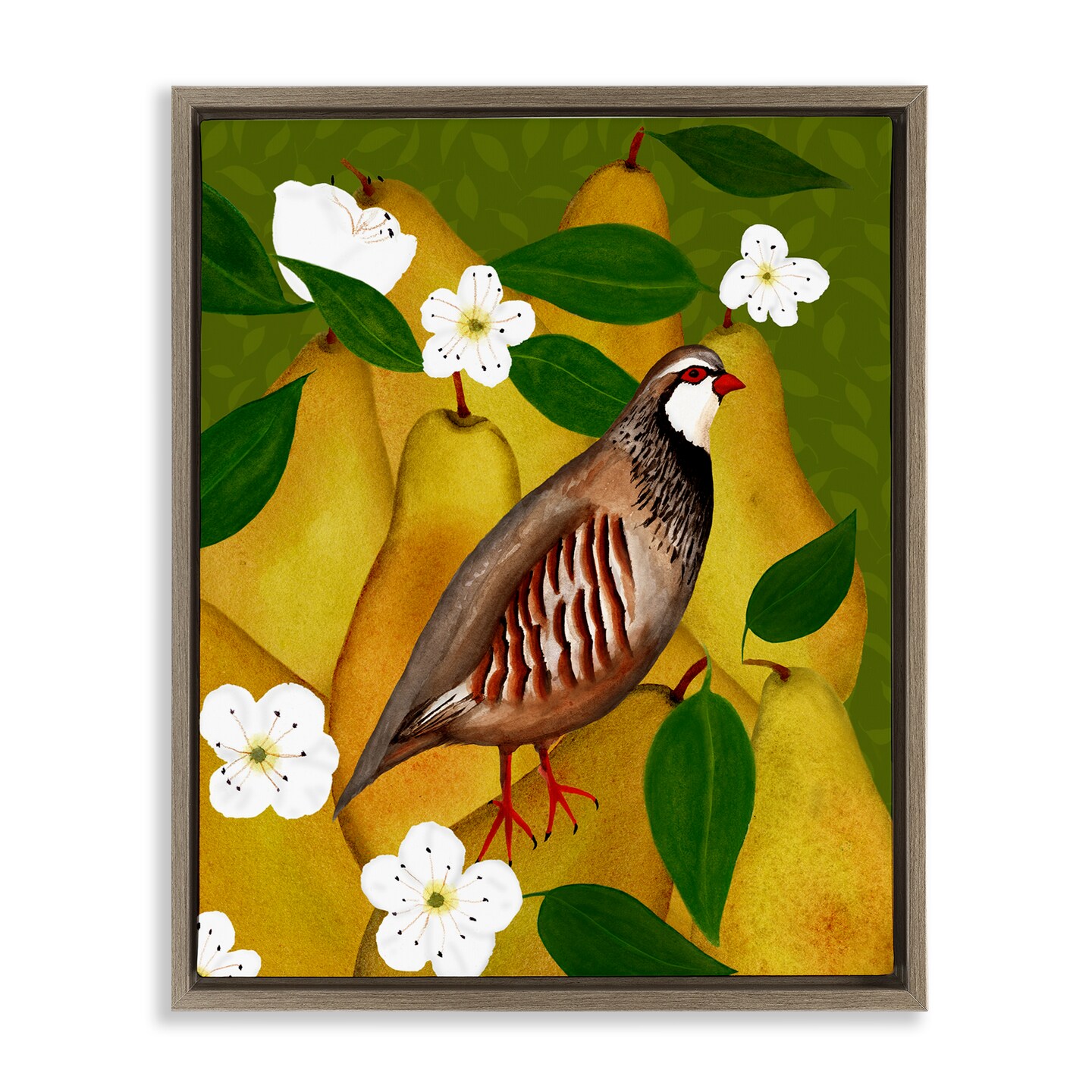 Stupell Industries Partridge Bird & Pears Floater Framed Canvas Wall Art Design by Michelle Ingari Designs
