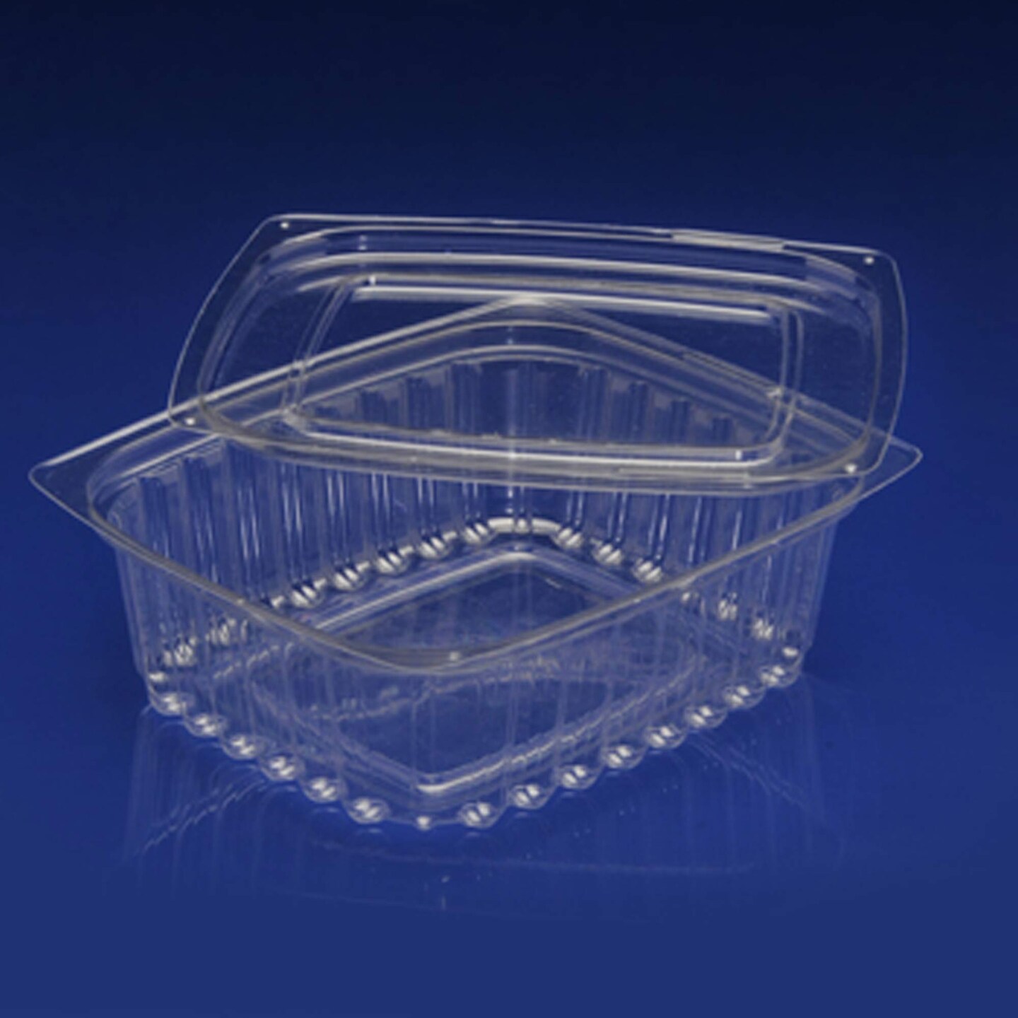 100 Count Sol-Pak Food Storage Containers with Lids 16 oz
