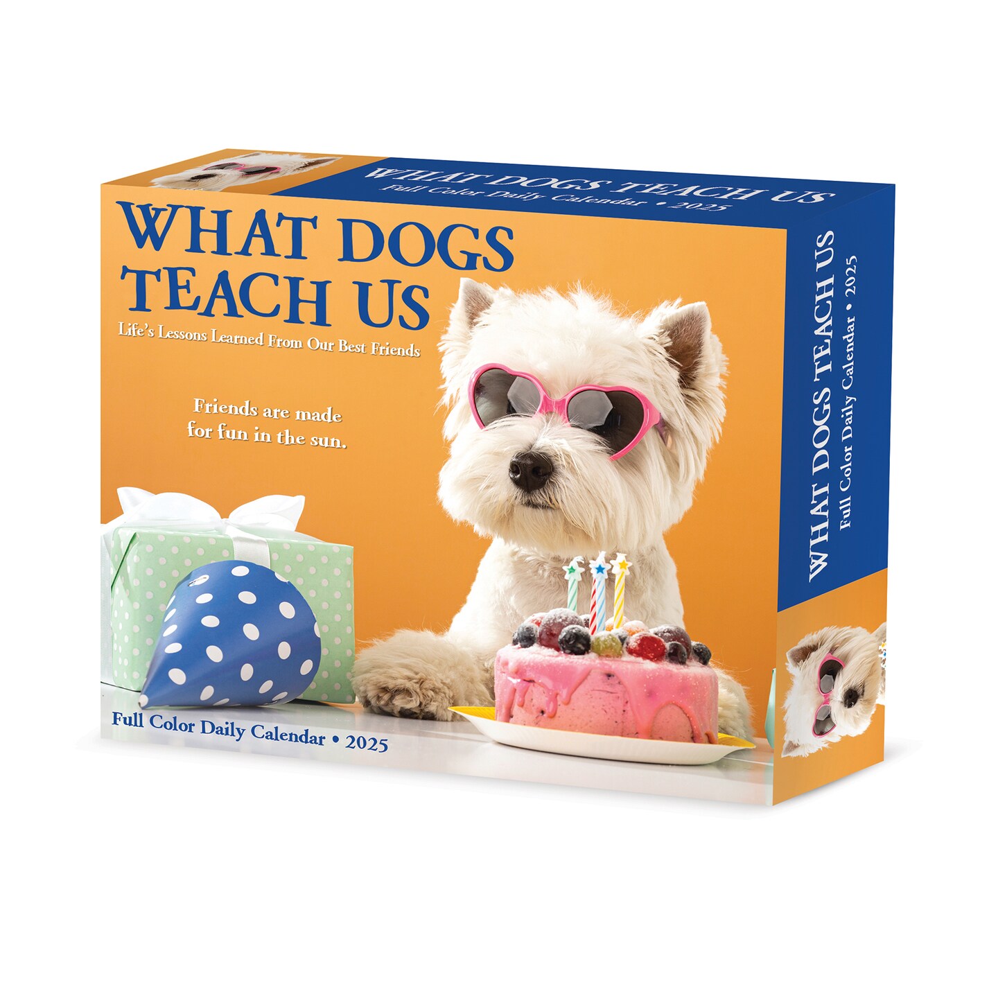 What Dogs Teach Us 2025 Box Calendar, Daily Desktop