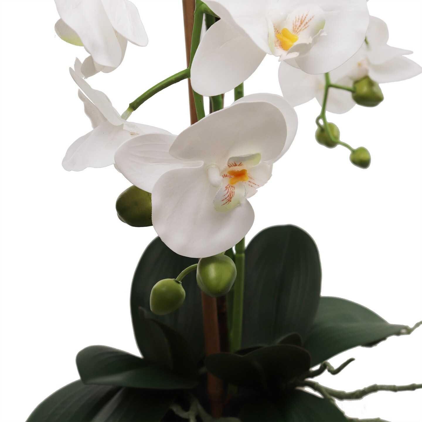 25-Inch Realistic White Orchid Arrangement &#x2013; Artificial Phalaenopsis Flowers with Natural Leaf Details in Ceramic Pot for Home &#x26; Office Decor