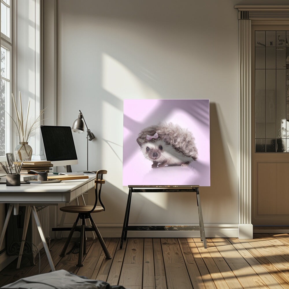 Curvy Hedgehog Square Canvas Art | Modern Home Wall Decor 24x24 Canvas - Corporate Office Art