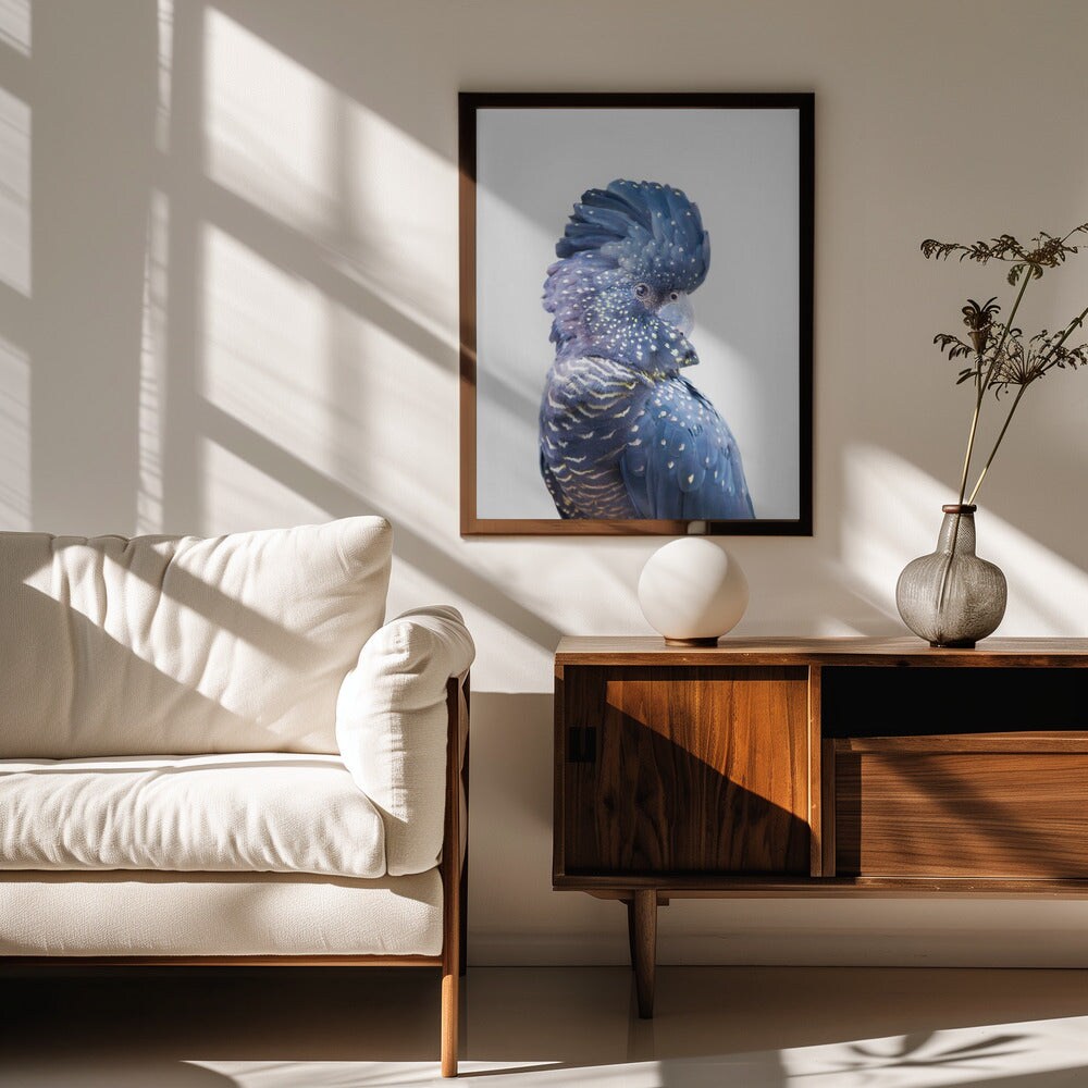 Black Cockatoo - Kathrin Pienaar 24x36 Black Framed Art | Home or Office Art