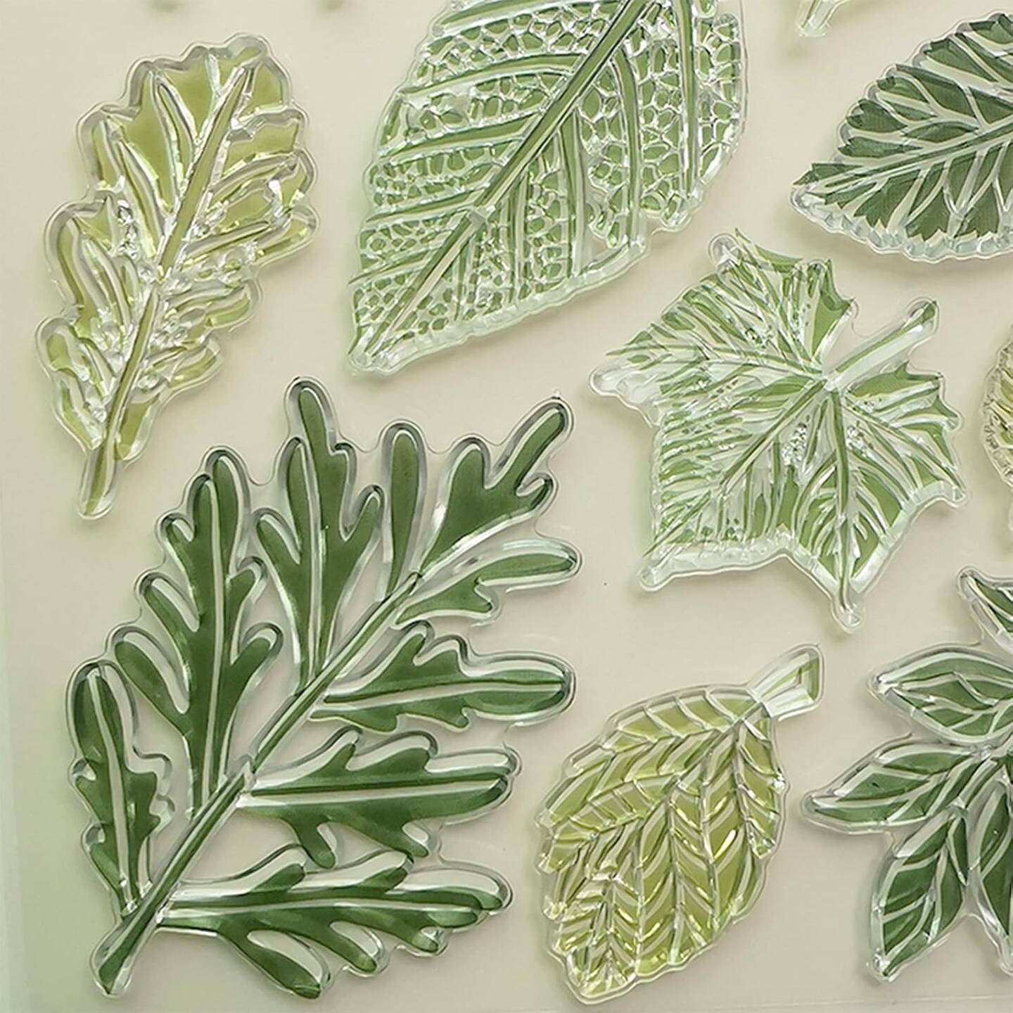 Leaves Clear Stamps - Reusable Stamp for DIY Scrapbooking & Card Making Decoration (5.5" x 7.1")