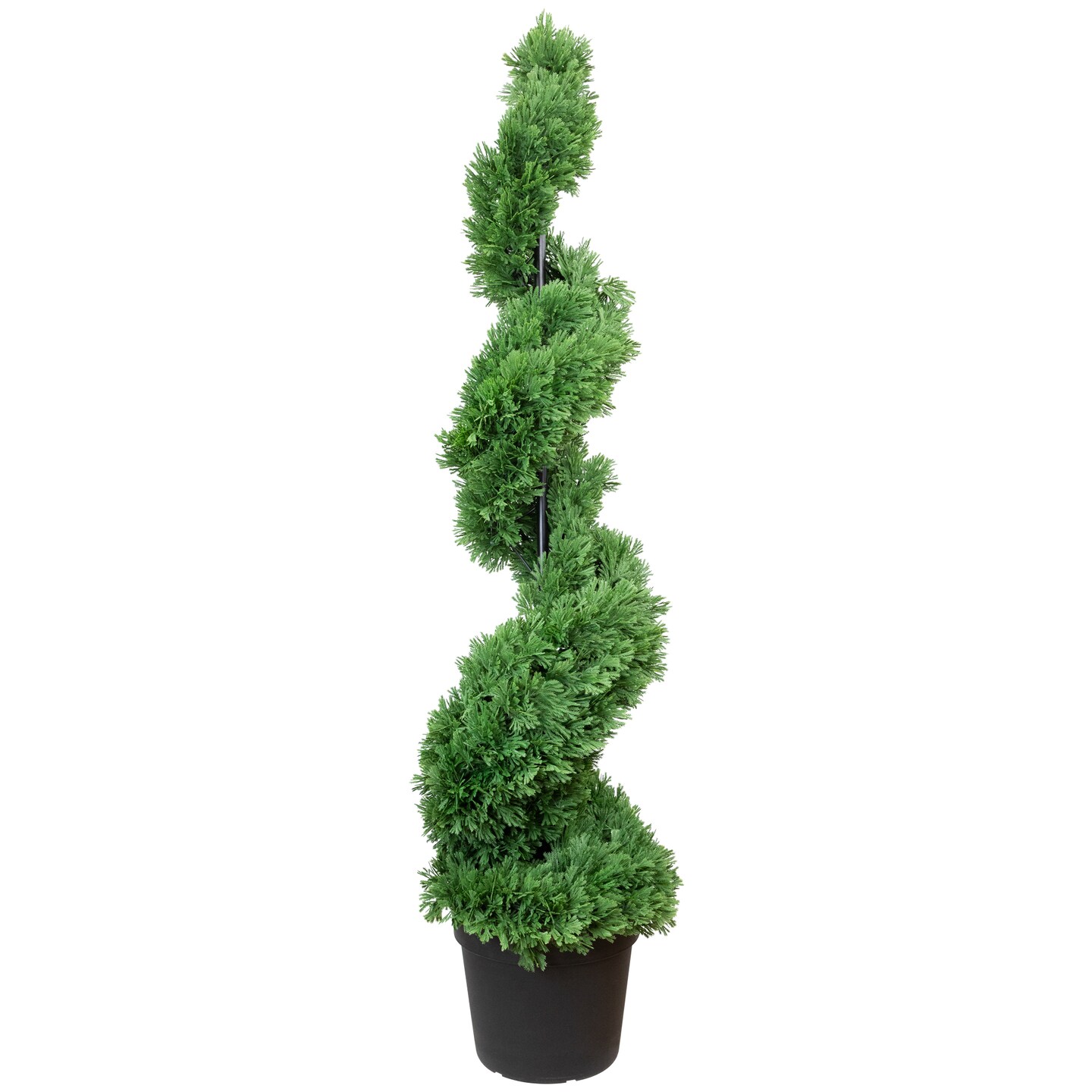 Northlight Cedar Spiral Topiary Tree - Thumbnail 2