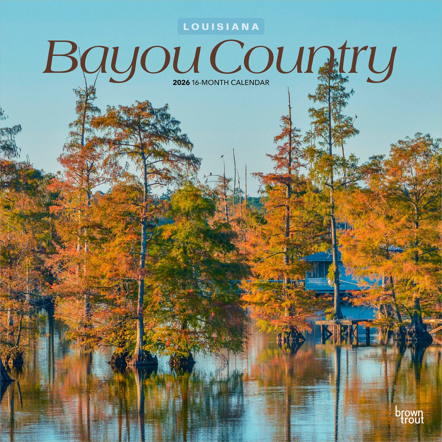 Bayou Country | Louisiana Places | 2026 12 x 24 Inch (Hanging) Monthly Square Wall Calendar | Plastic-Free