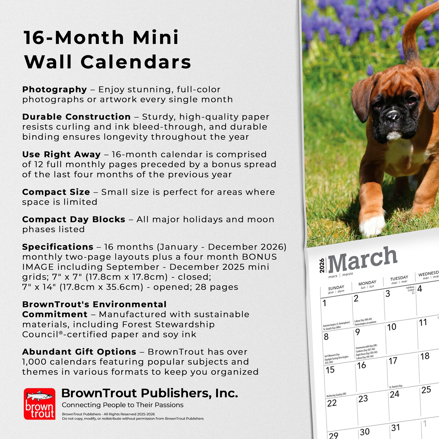 Boxer Puppies | 2026 7 x 14 Inch (Hanging) Monthly Mini Wall Calendar