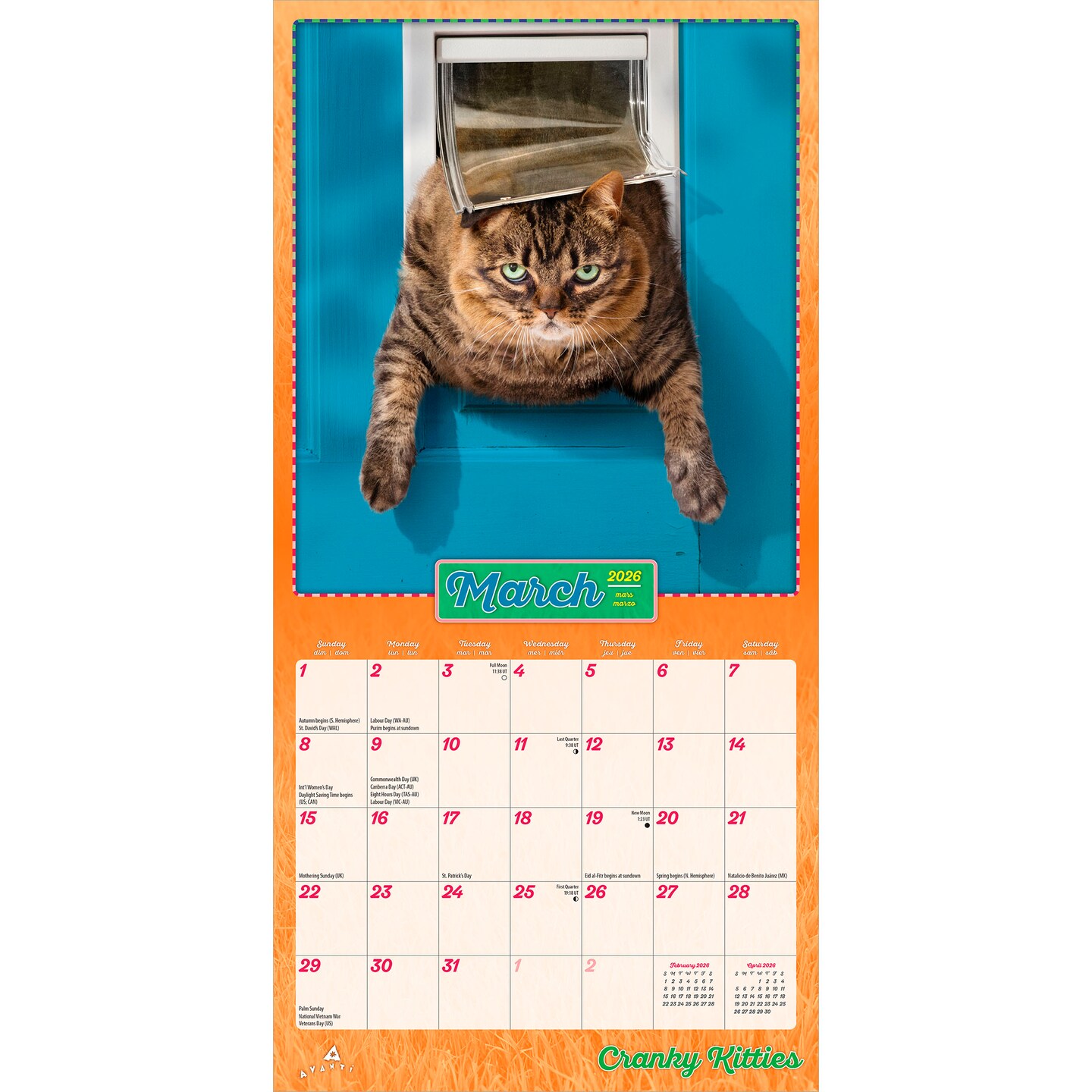 Avanti Cranky Kitties OFFICIAL | 2026 7 x 14 Inch (Hanging) Monthly Mini Wall Calendar