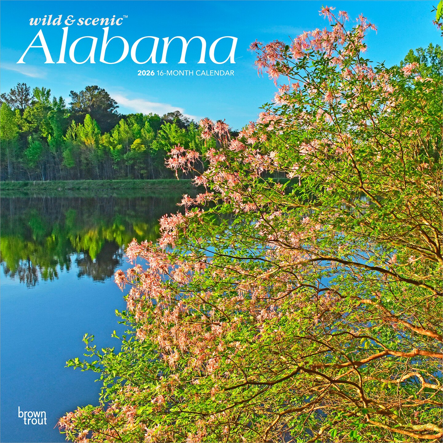 Alabama Wild & Scenic | 2026 12 x 24 Inch (Hanging) Monthly Square Wall Calendar | Plastic-Free