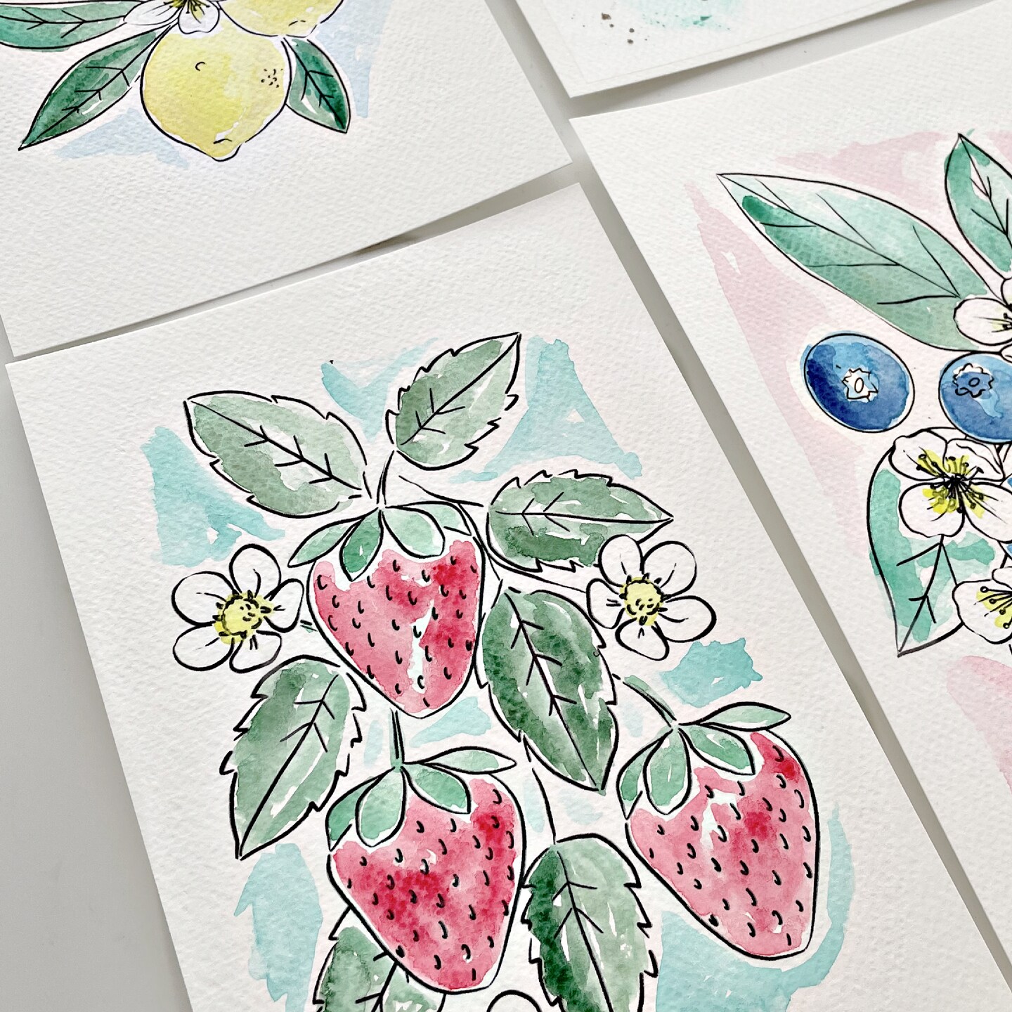 3PK Fruit Watercolor Paint Kit with Sketches, Brush and Palette