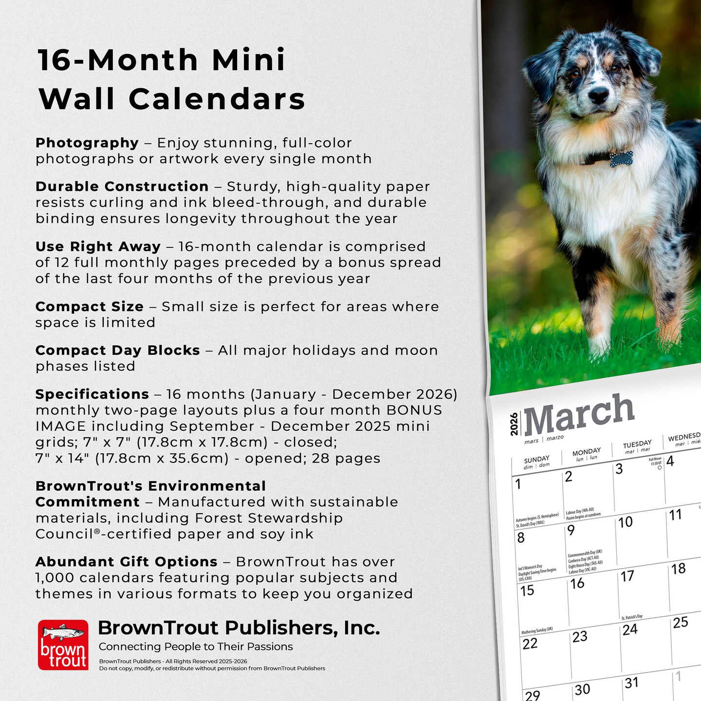 Australian Shepherds | 2026 7 x 14 Inch (Hanging) Monthly Mini Wall Calendar