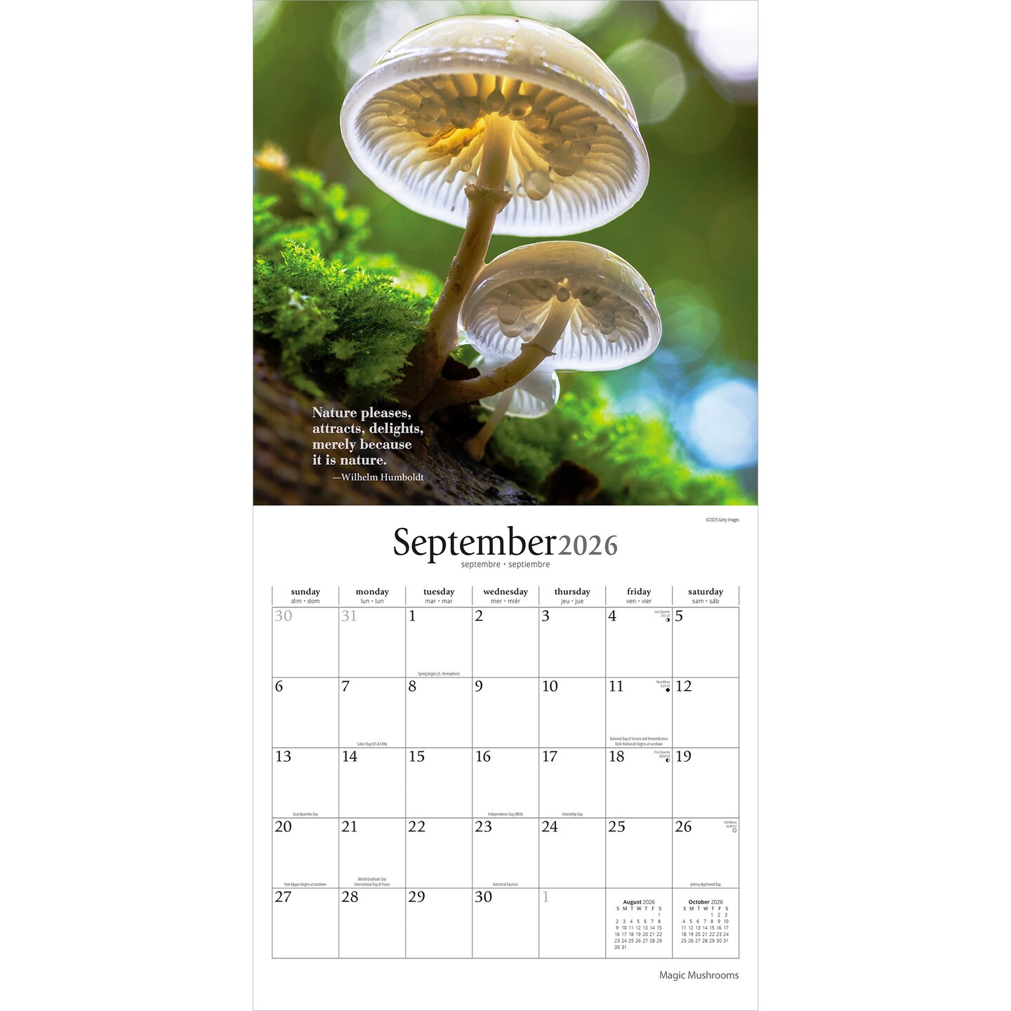 Magic Mushrooms | 2026 12 x 24 Inch (Hanging) Monthly Square Wall Calendar | Plastic-Free