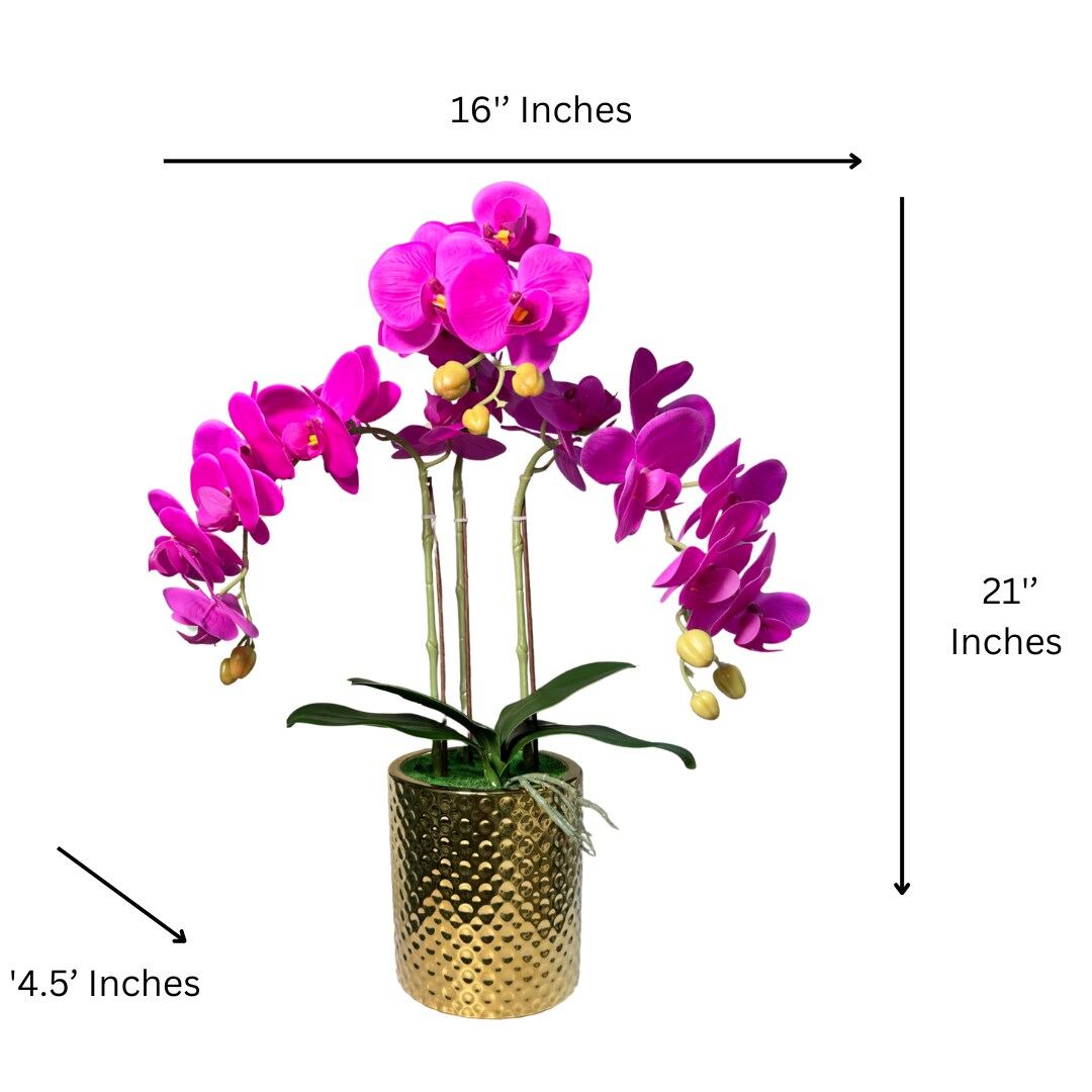 Pink Magenta Phalaenopsis Orchid Floral Arrangement in Gold Vase