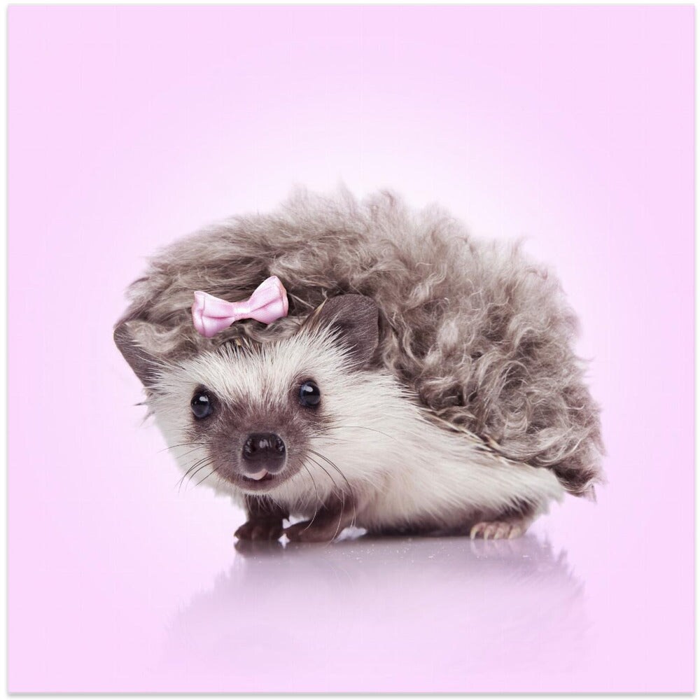 Curvy Hedgehog Square Canvas Art | Modern Home Wall Decor 24x24 Canvas - Corporate Office Art