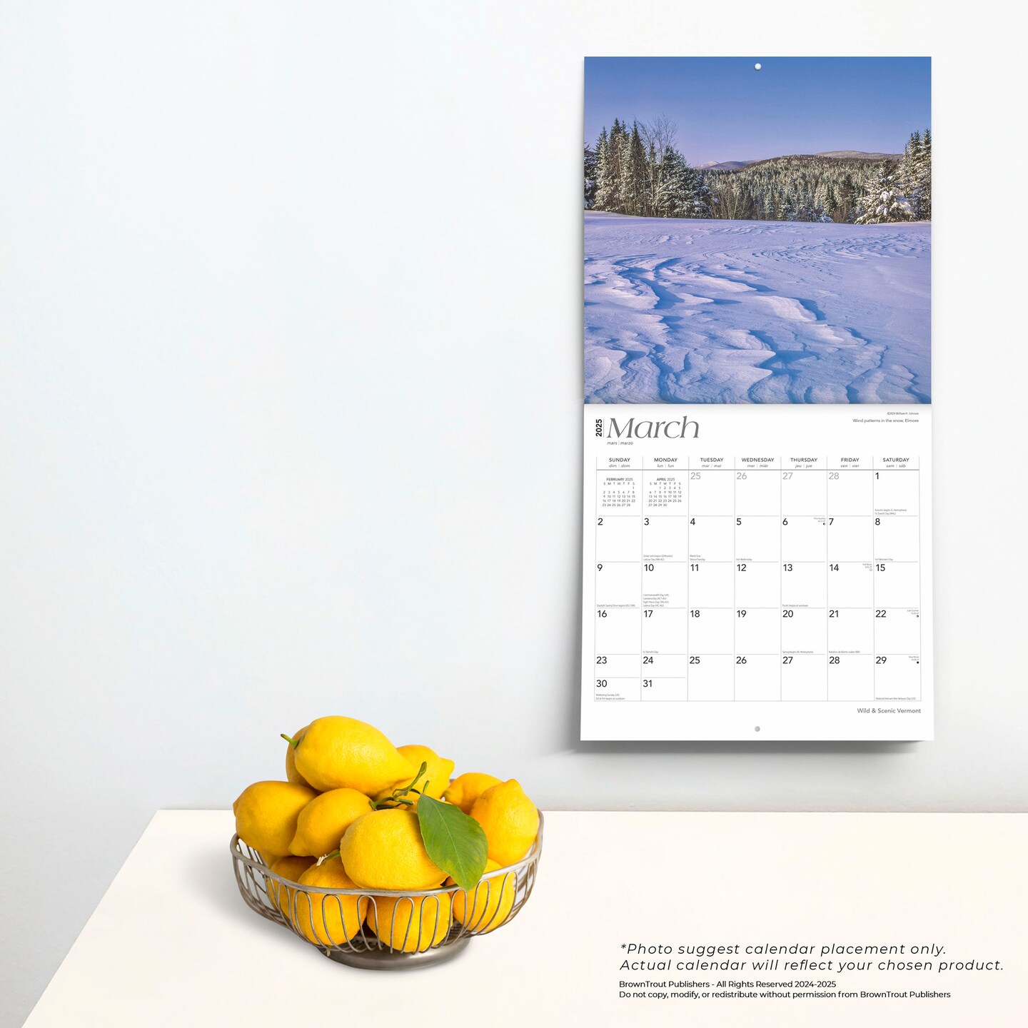 Vermont Wild &#x26; Scenic | 2025 12 x 24 Inch Monthly Square Wall Calendar | Plastic-Free | BrownTrout | USA United States of America Northeast State Nature