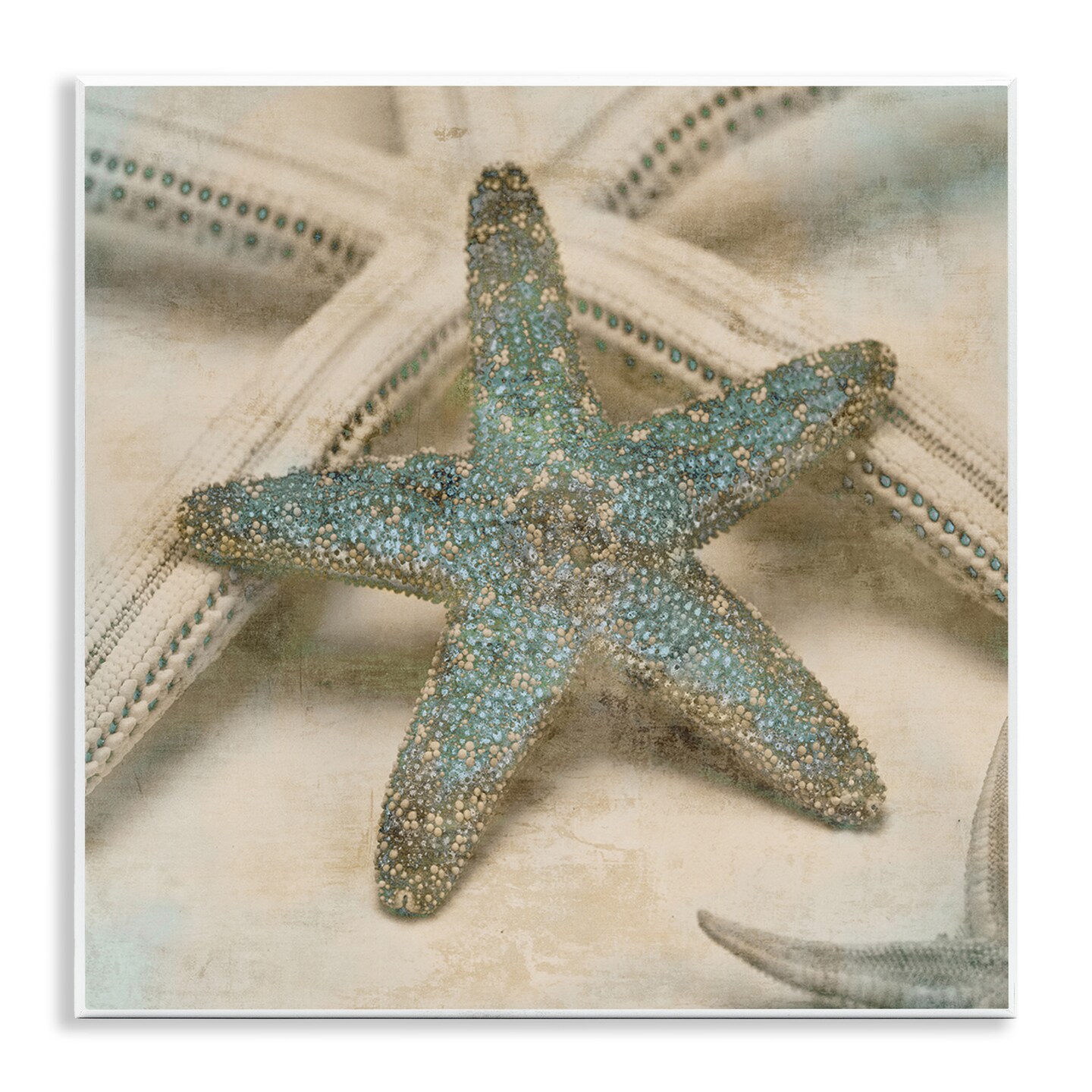 Stupell Industries Distressed Texture Starfish Wall Plaque Art
