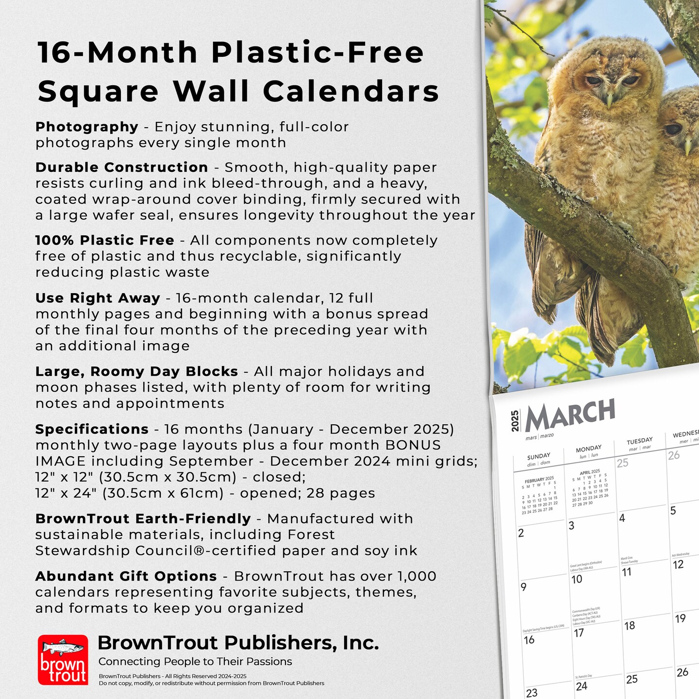 Owls | 2025 12 x 24 Inch Monthly Square Wall Calendar | Plastic-Free | BrownTrout | Wildlife Animals Birds