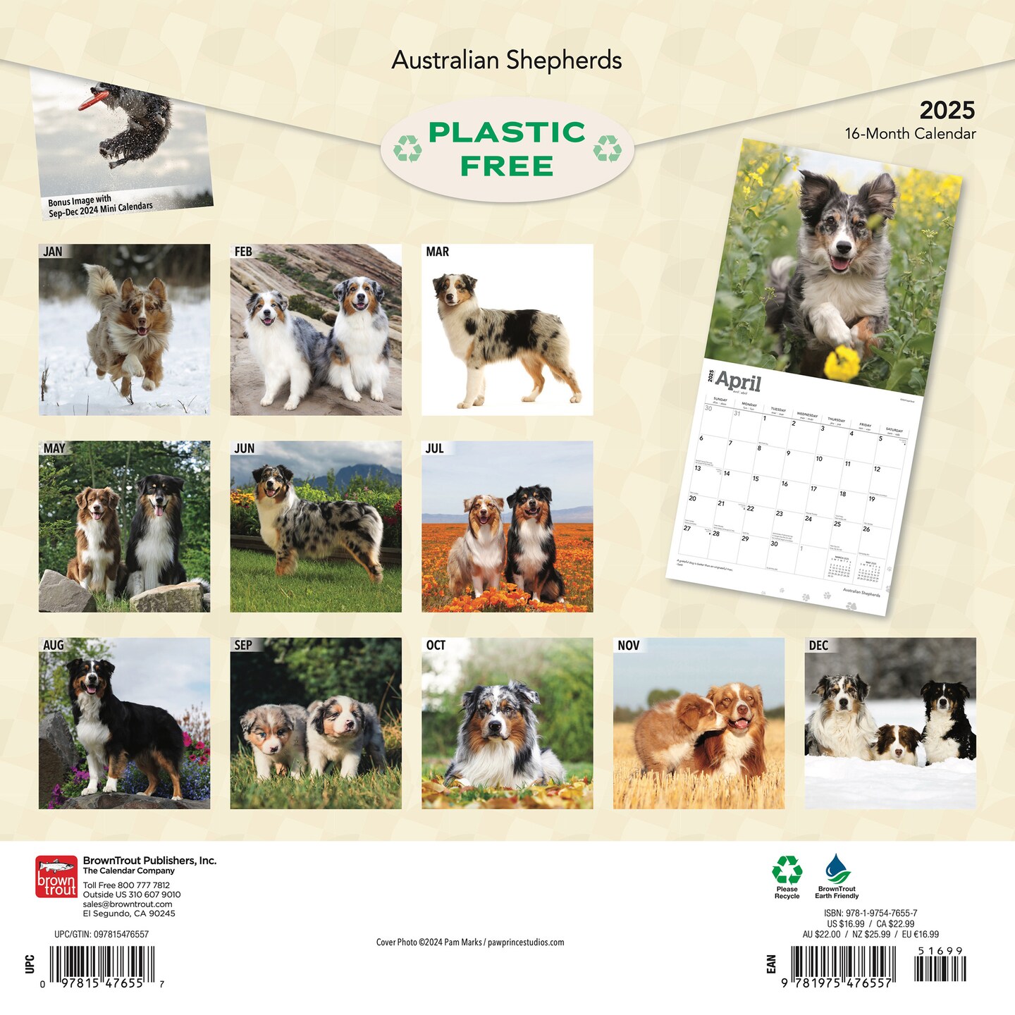 Australian Shepherds | 2025 12 x 24 Inch Monthly Square Wall Calendar | Plastic-Free | BrownTrout | Animals Dog Breeds