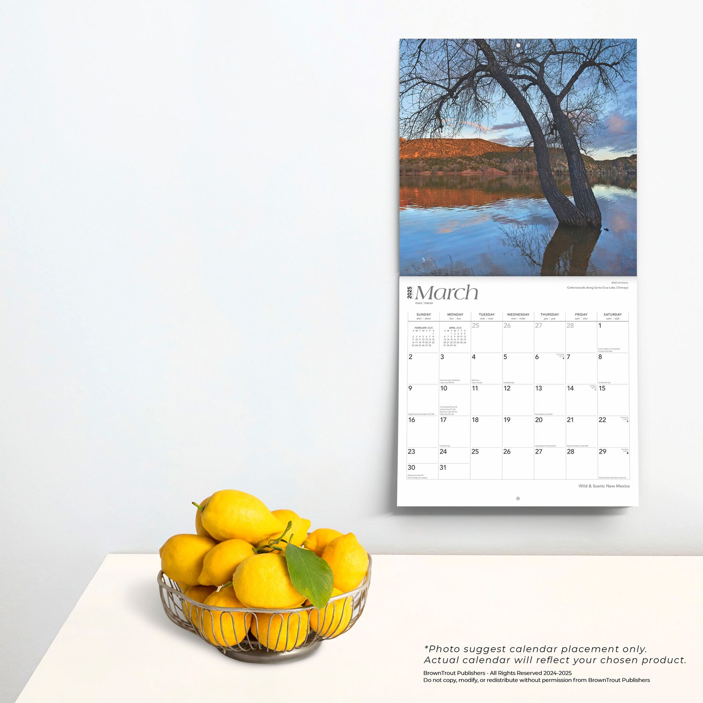 New Mexico Wild &#x26; Scenic | 2025 12 x 24 Inch Monthly Square Wall Calendar | Plastic-Free | BrownTrout | USA United States of America Southwest State Nature