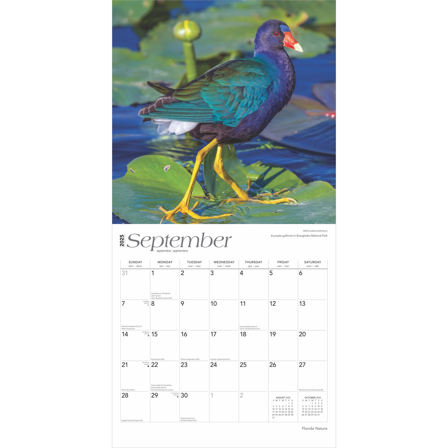 Florida Nature | 2025 12 x 24 Inch Monthly Square Wall Calendar | Plastic-Free | BrownTrout | USA United States of America Southeast State