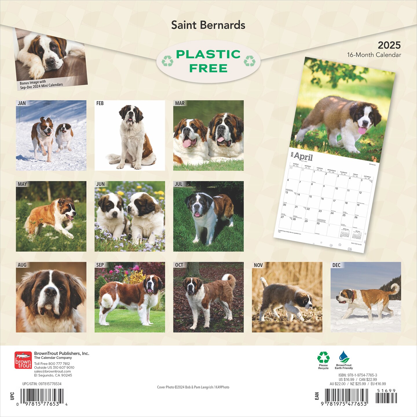 Saint Bernards | 2025 12 x 24 Inch Monthly Square Wall Calendar | Plastic-Free | BrownTrout | Animals Dog Breeds