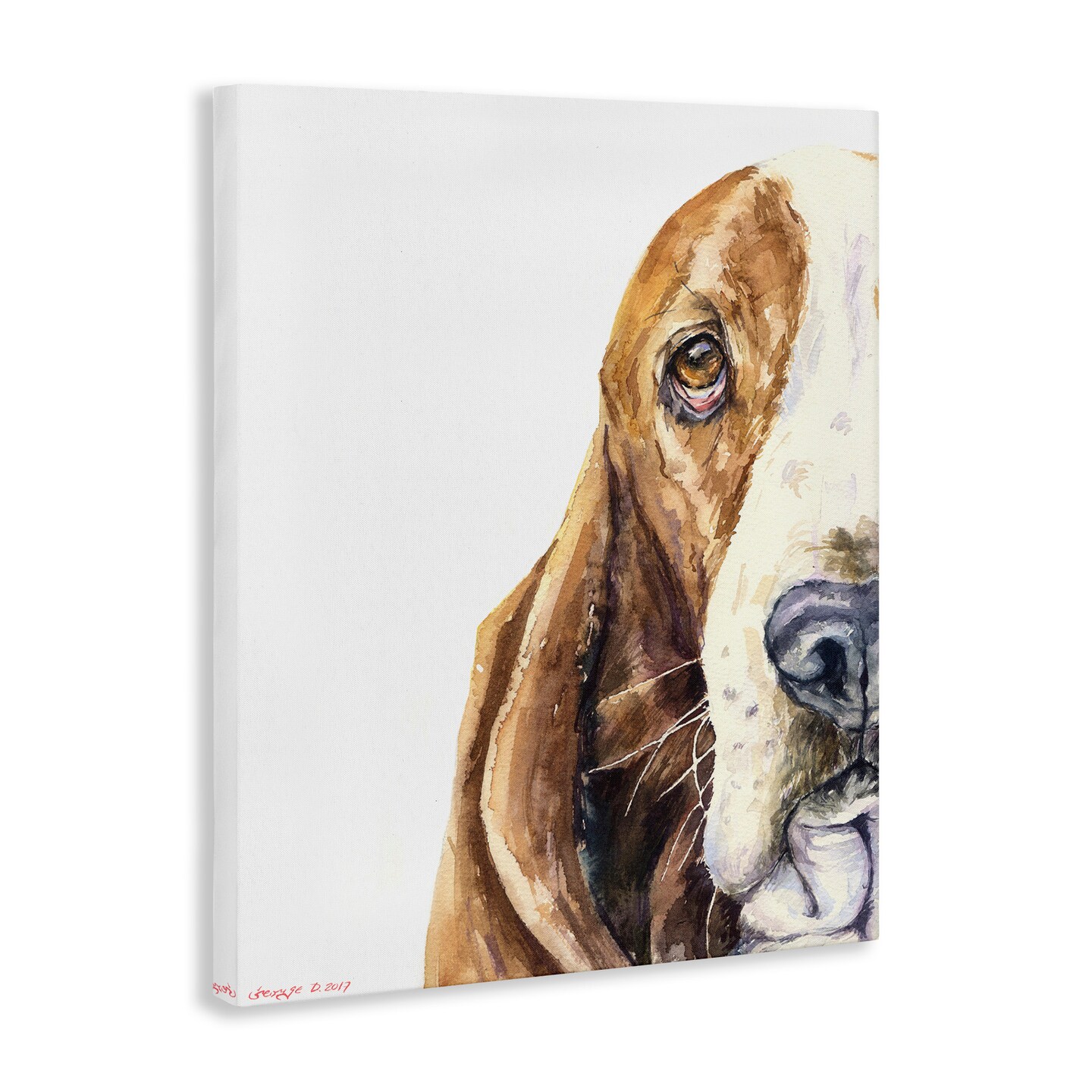 Stupell Industries Cute Basset Hound Pet Watercolor Canvas Wall Art