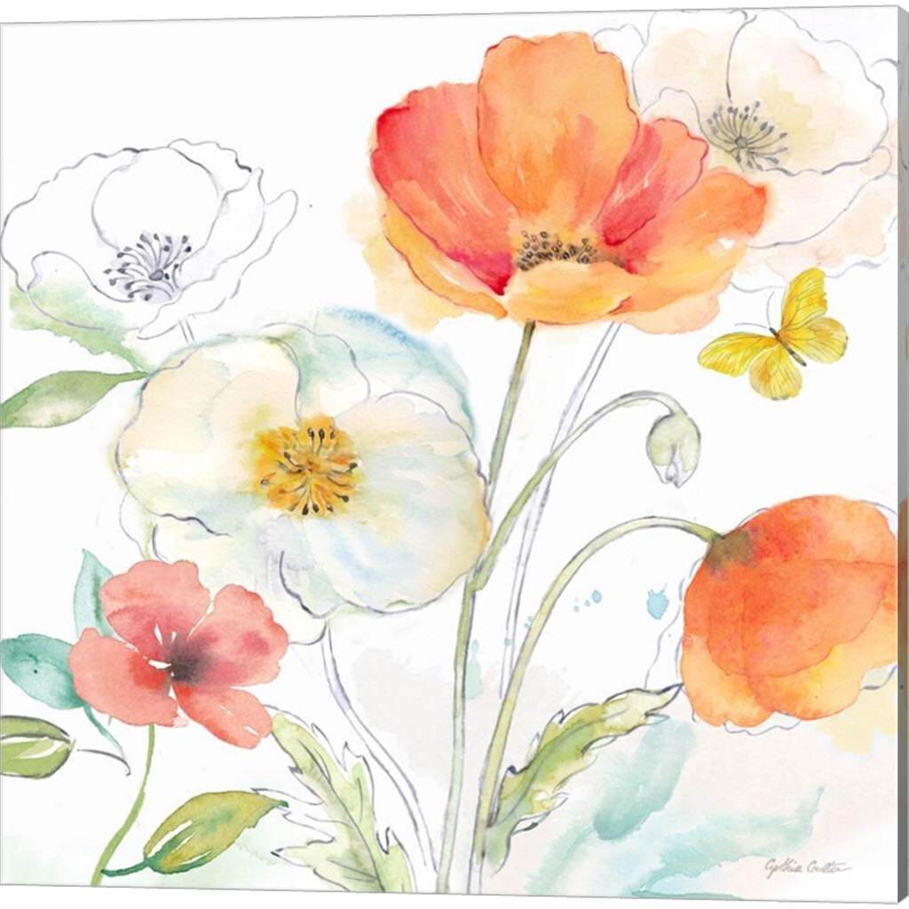 Happy Poppies A by Cynthia Coulter 14" x 14" Canvas Wall Art (Set of 2)