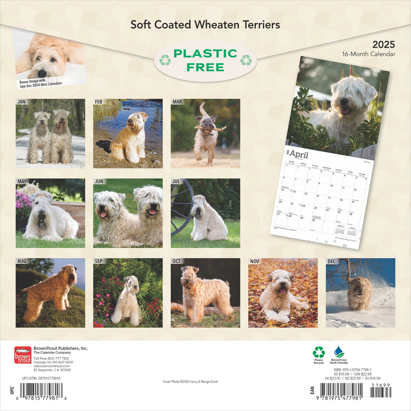 Soft Coated Wheaten Terriers | 2025 12 x 24 Inch Monthly Square Wall Calendar | Plastic-Free | BrownTrout | Animals Dog Breeds