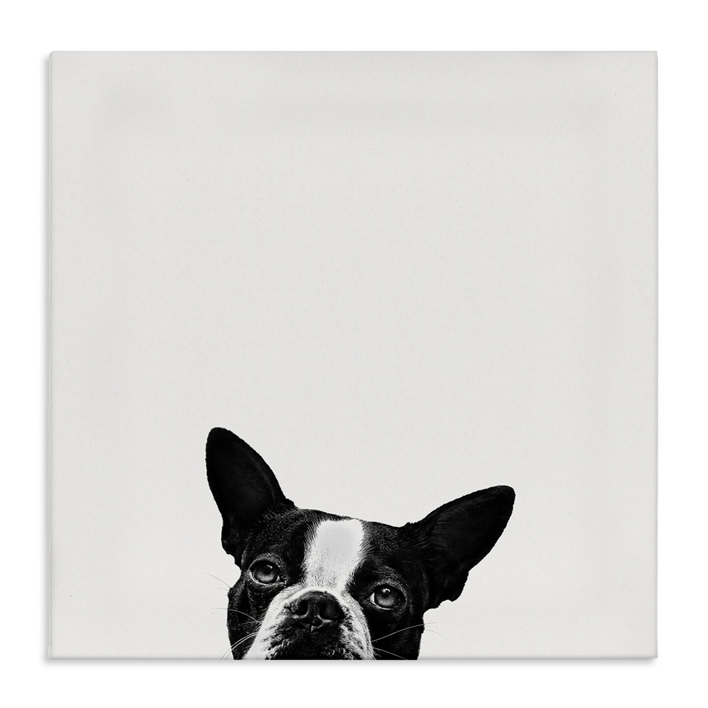 Stupell Industries Dog Peeking From Below Canvas Wall Art