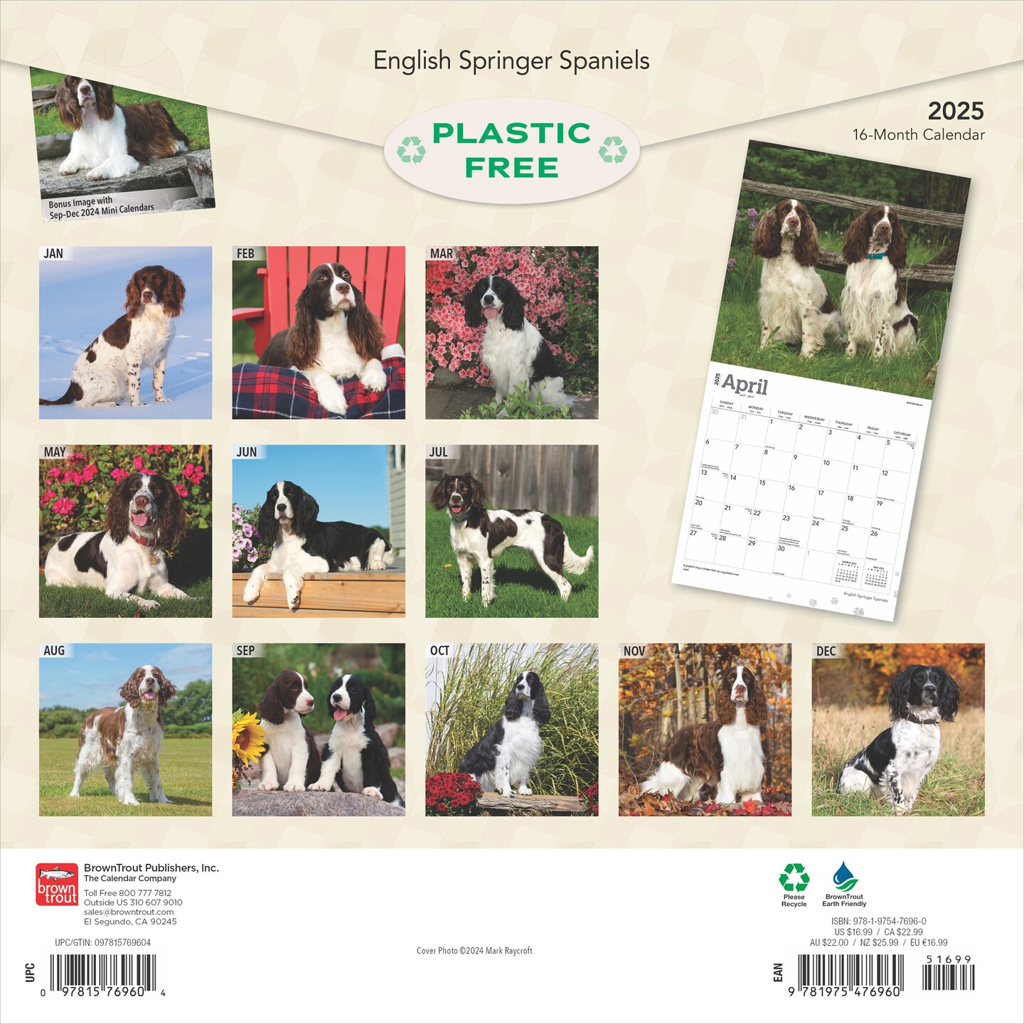 English Springer Spaniels | 2025 12 x 24 Inch Monthly Square Wall Calendar | Plastic-Free | BrownTrout | Animals Dog Breeds