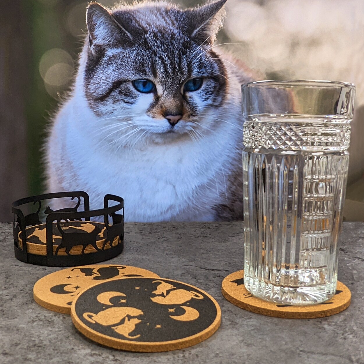 Mango Steam Set of Six Cat Cork Coasters with Decorative Cork Holder