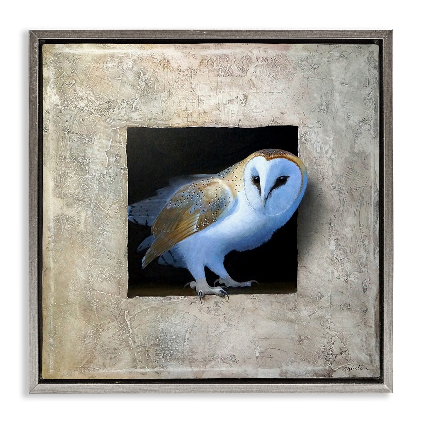 Stupell Industries Mysterious Barn Owl Peering Framed Floater Canvas Wall Art