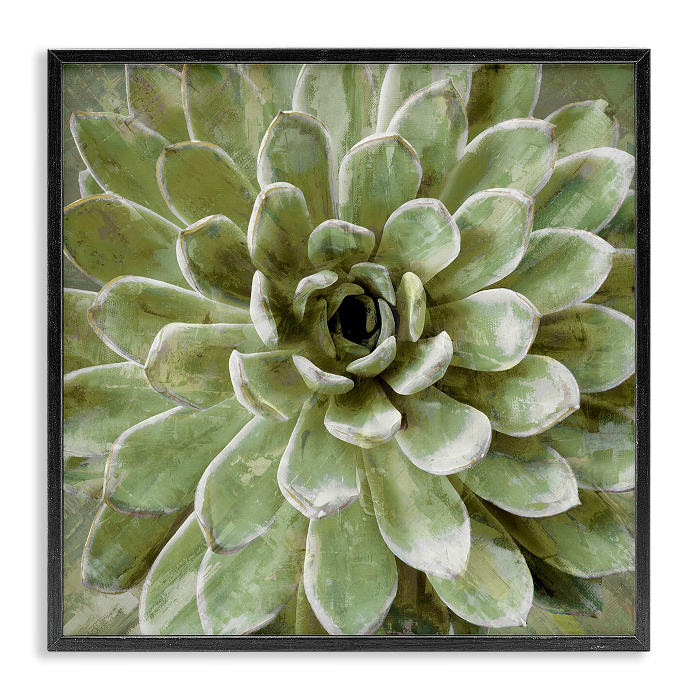 Stupell Industries Green Botanical Succulent Bloom Framed Giclee Art