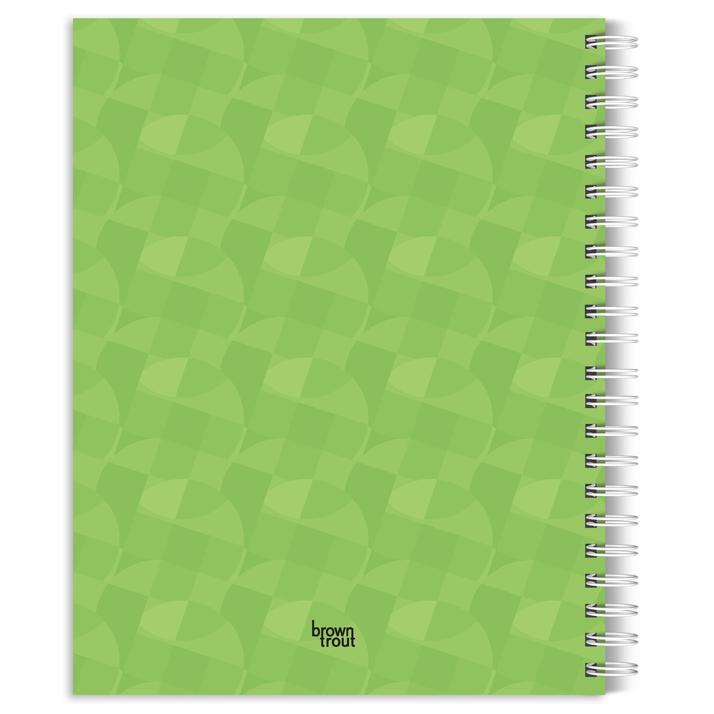 Cat Lovers | 2025 6 x 7.75 Inch Spiral-Bound Wire-O Weekly Engagement Planner Calendar | New Full-Color Image Every Week | BrownTrout | Animals Domestic Kittens Feline