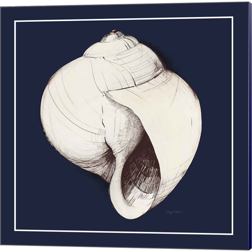 Coastal Shell with Border Navy by Avery Tillmon 14&#x22; x 14&#x22; Canvas Wall Art (Set of 2)