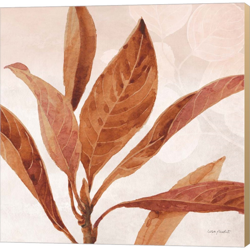 Terra 02 by Lisa Audit 24&#x22; x 24&#x22; Canvas Wall Art