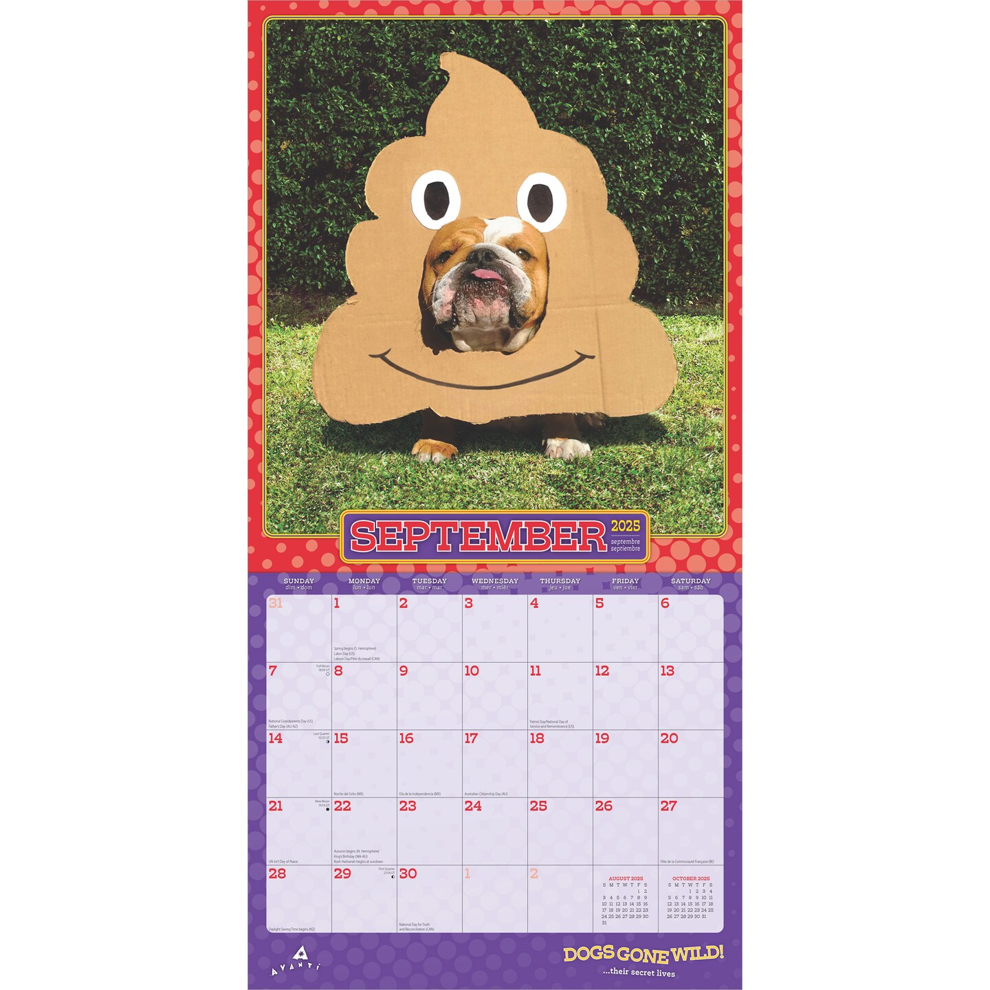Avanti Dogs Gone Wild OFFICIAL | 2025 12 x 24 Inch Monthly Square Wall Calendar | Plastic-Free | BrownTrout | Canine Pet Humor