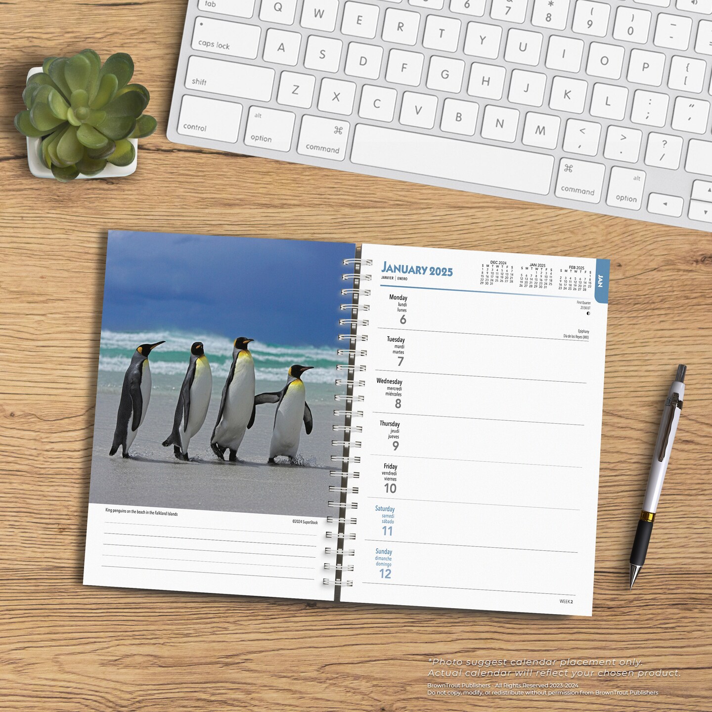 Beaches | 2025 6 x 7.75 Inch Spiral-Bound Wire-O Weekly Engagement Planner Calendar | New Full-Color Image Every Week | BrownTrout | Travel Nature Tropical