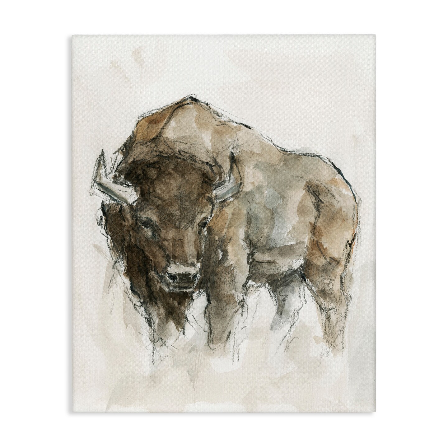 Stupell Industries Western American Buffalo Canvas Wall Art