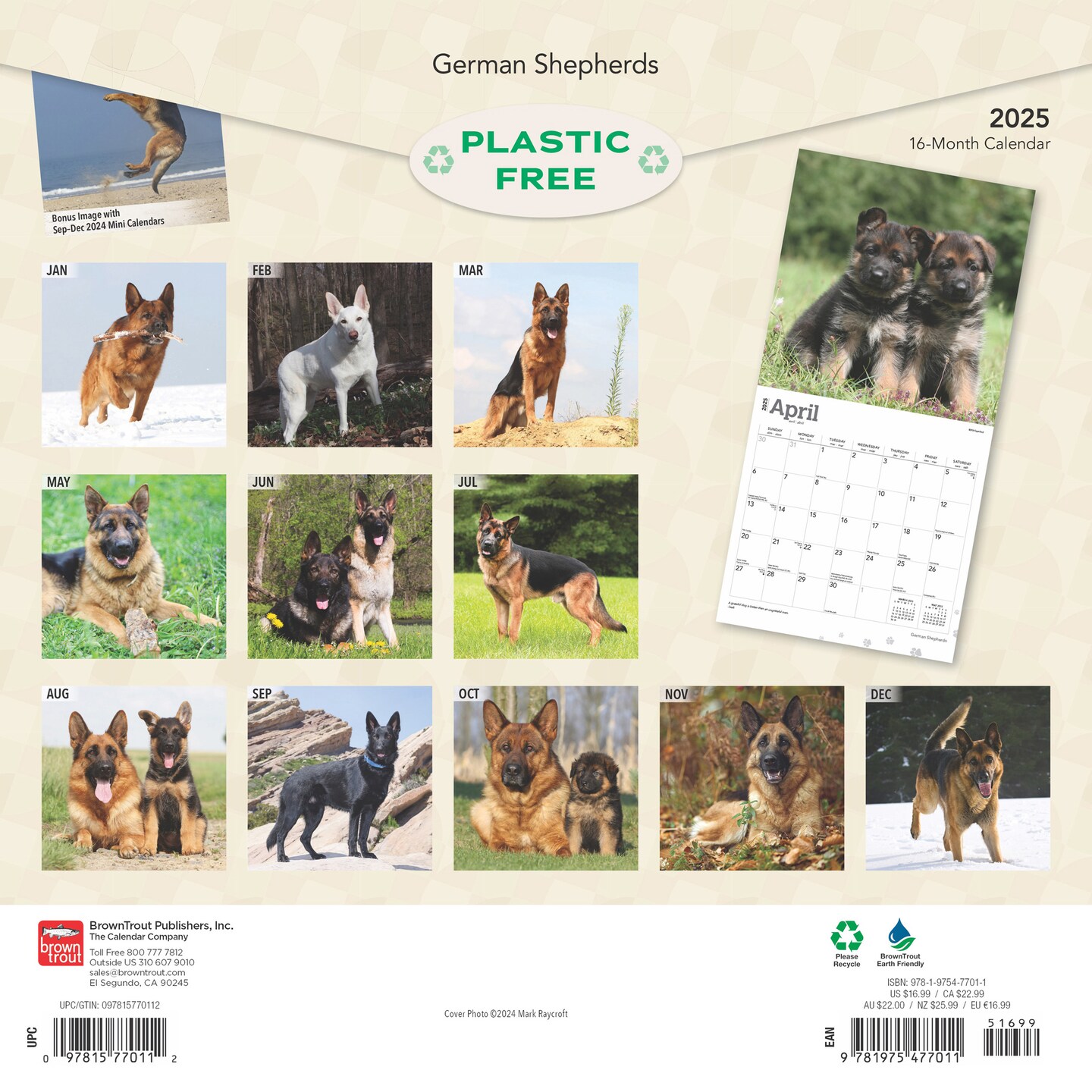 German Shepherds | 2025 12 x 24 Inch Monthly Square Wall Calendar | Plastic-Free | BrownTrout | Animals Dog Breeds