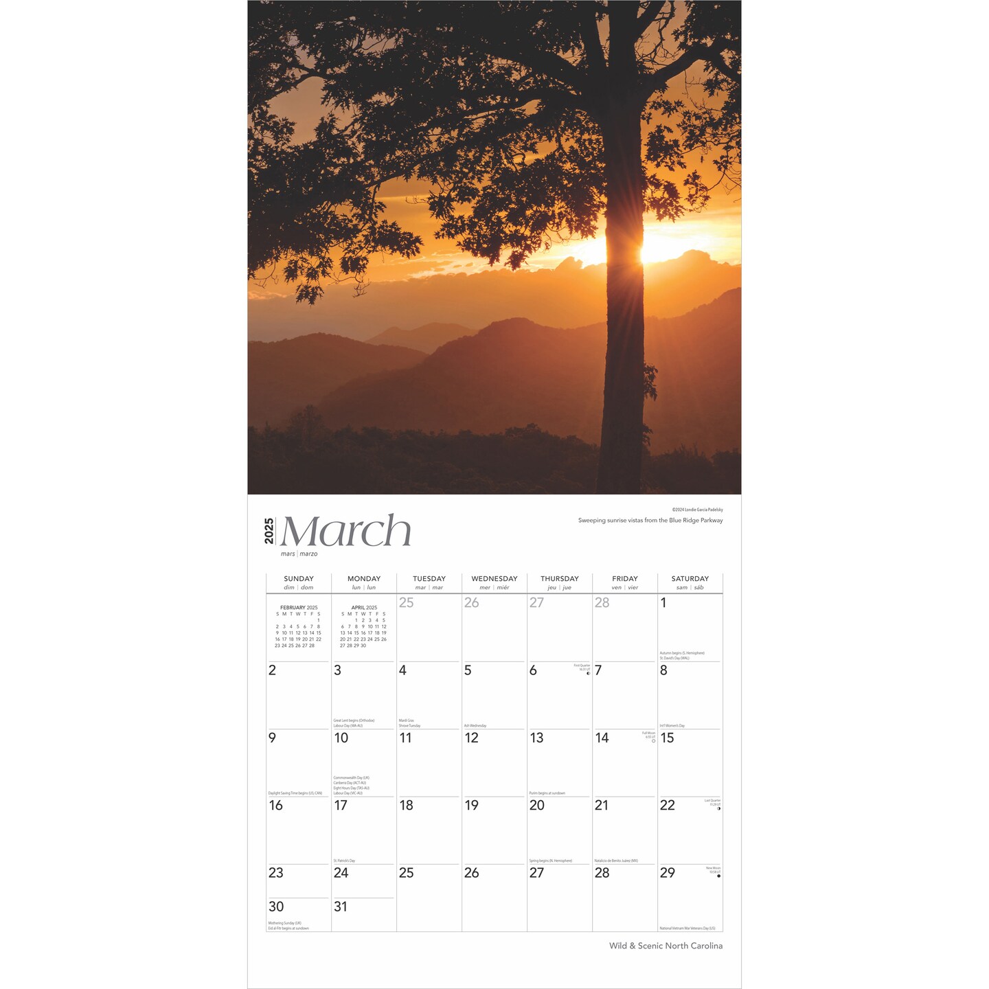 North Carolina Wild &#x26; Scenic | 2025 12 x 24 Inch Monthly Square Wall Calendar | Plastic-Free | BrownTrout | USA United States of America Southeast State Nature