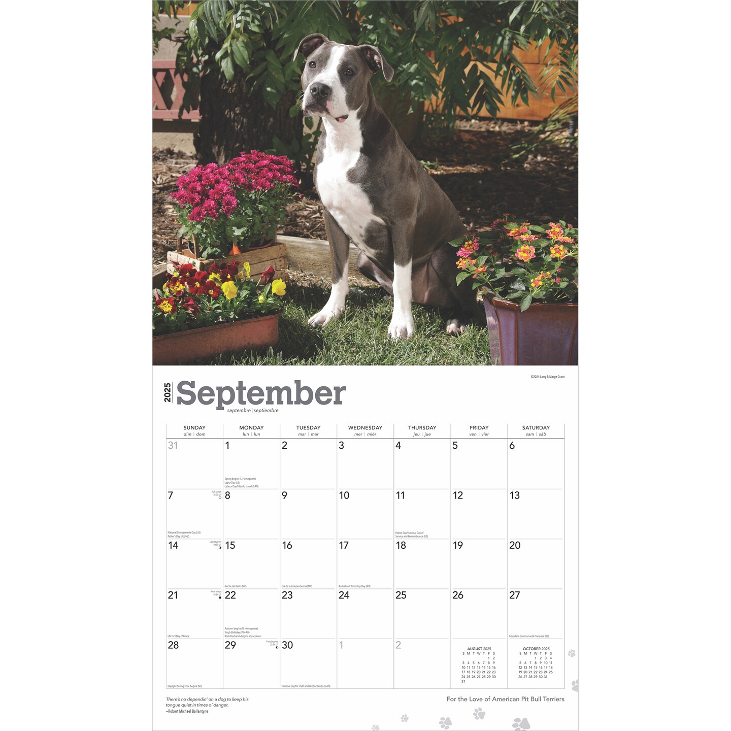 For the Love of American Pit Bull Terriers | 2025 14 x 24 Inch Monthly Deluxe Wall Calendar | Foil Stamped Cover | Plastic-Free | BrownTrout | Animal Dog Breeds