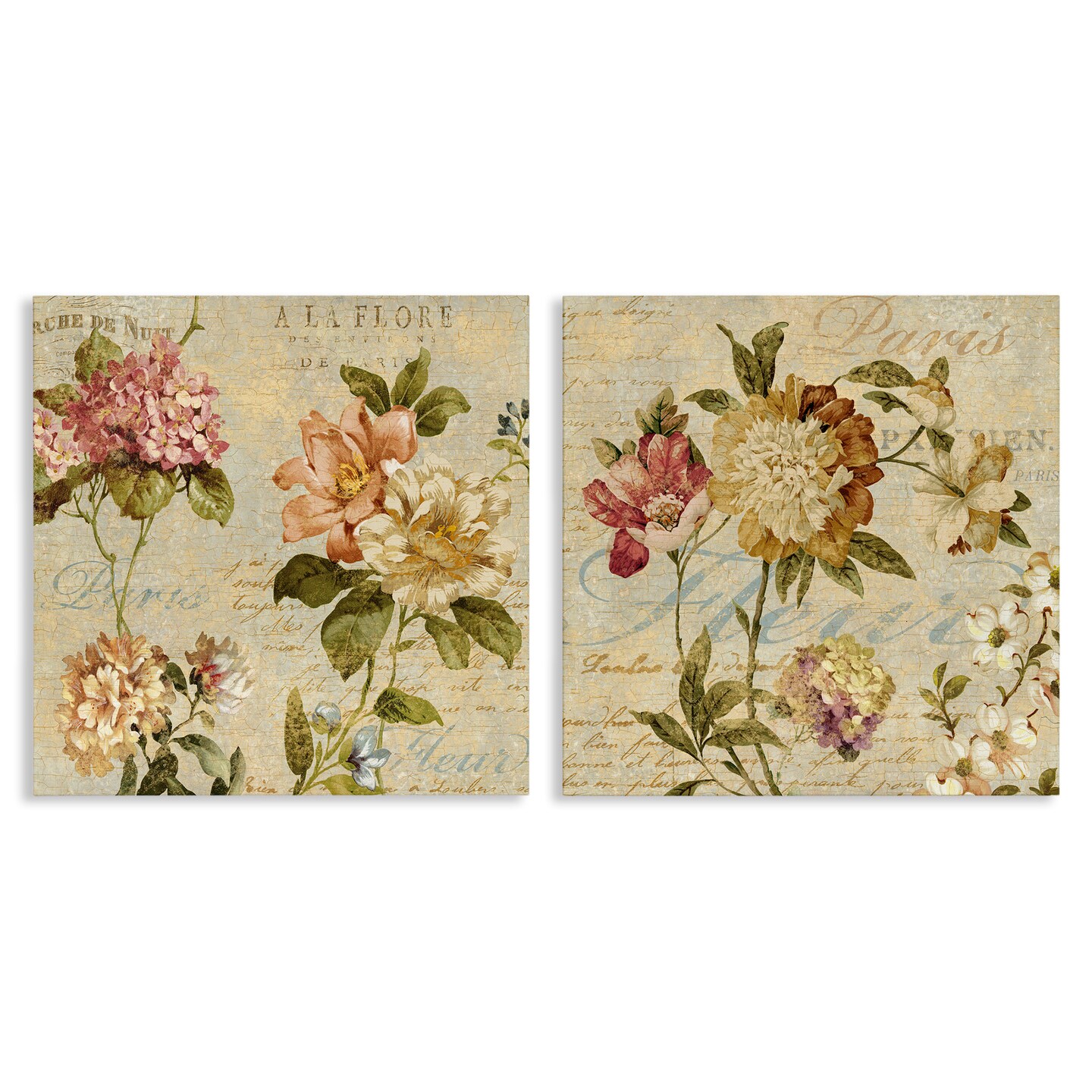 Stupell Industries Vintage French Floral with Script Canvas Wall Art