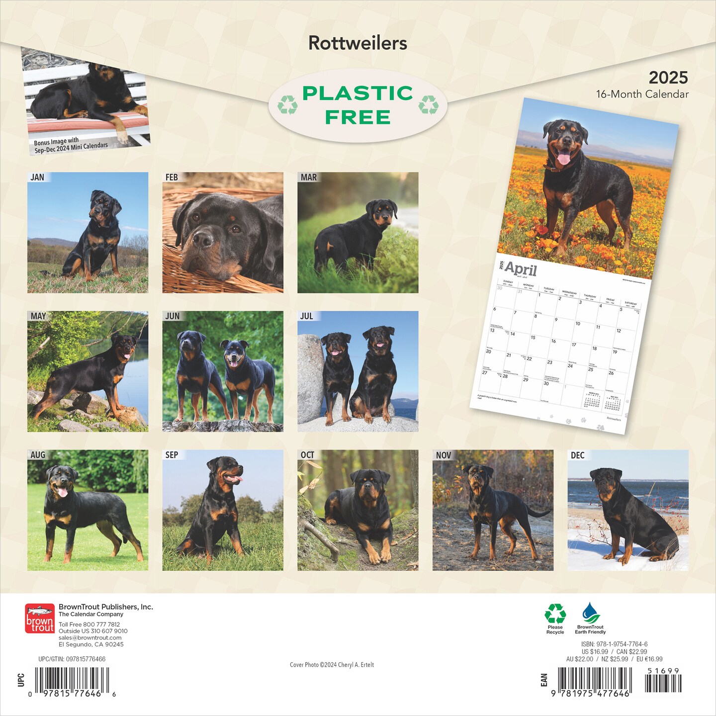 Rottweilers | 2025 12 x 24 Inch Monthly Square Wall Calendar | Plastic-Free | BrownTrout | Animals Dog Breeds
