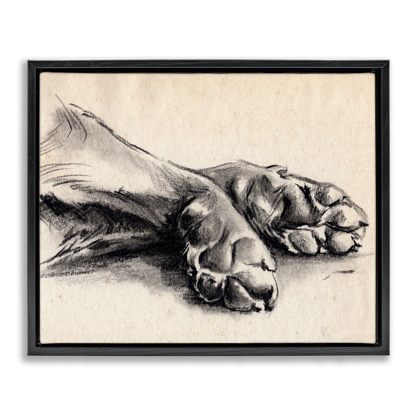 Stupell Industries Dog Paw Charcoal Design Framed Floater Canvas Wall Art