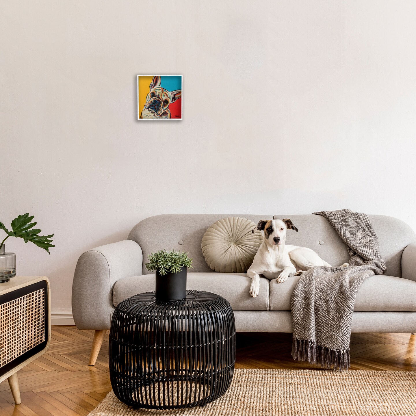 Stupell Industries French Bulldog Pop Portrait Framed Giclee Art