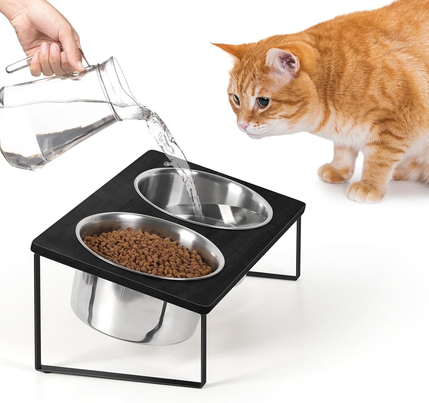 Dogs/Cats Bowl Raised Stainless Steel Dogs/Cats Feeding Station 10&#xB0; Tilted Feeding Bowl